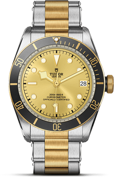 M79733n-0004 - Tudor Black Bay S&g (540x720), Png Download