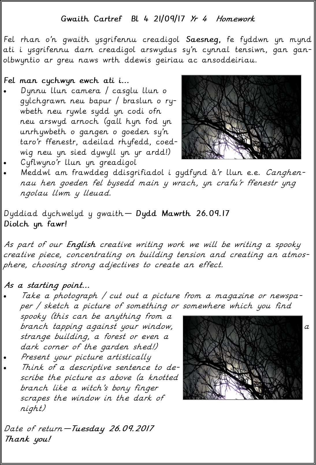 Year 4 Homework - Tree (1094x1608), Png Download