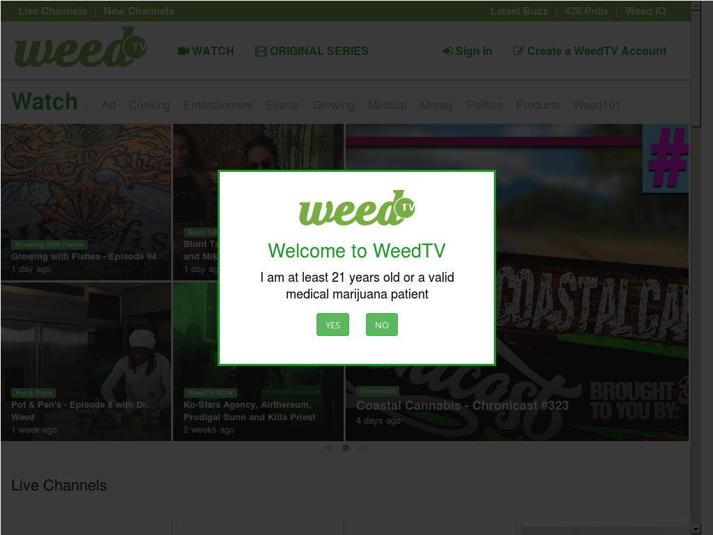 Website History - Parallel (1024x3216), Png Download