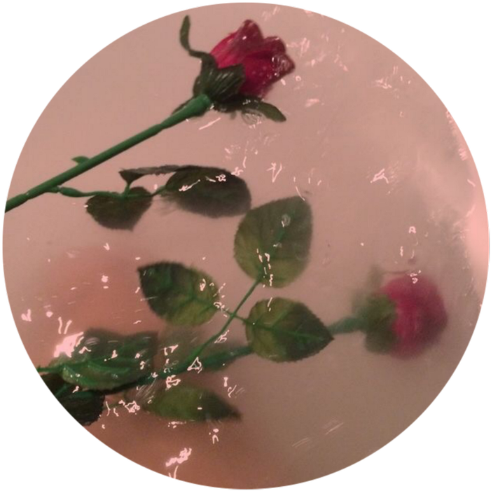 Aesthetic Flowers In Water Go Follow My Picsart Account - Rose In Bathtub Aesthetic (750x750), Png Download