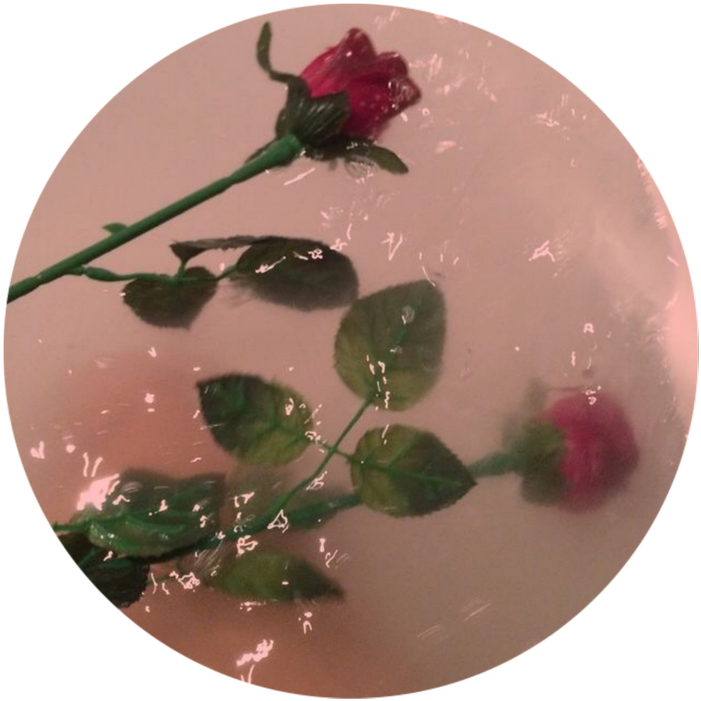Download Aesthetic Flowers In Water Go Follow My Picsart Account Rose
