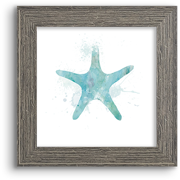 Watercolor Silhouette ~ Sea Star - Echinoderm (800x800), Png Download