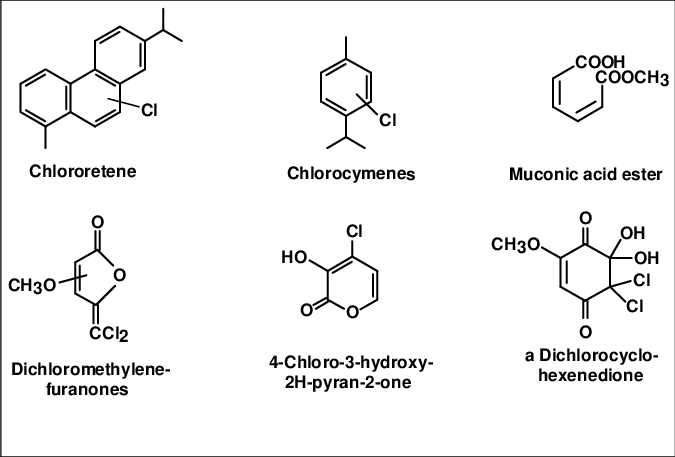 New Organic Substances Identified In Effluent From - Diagram (675x457), Png Download