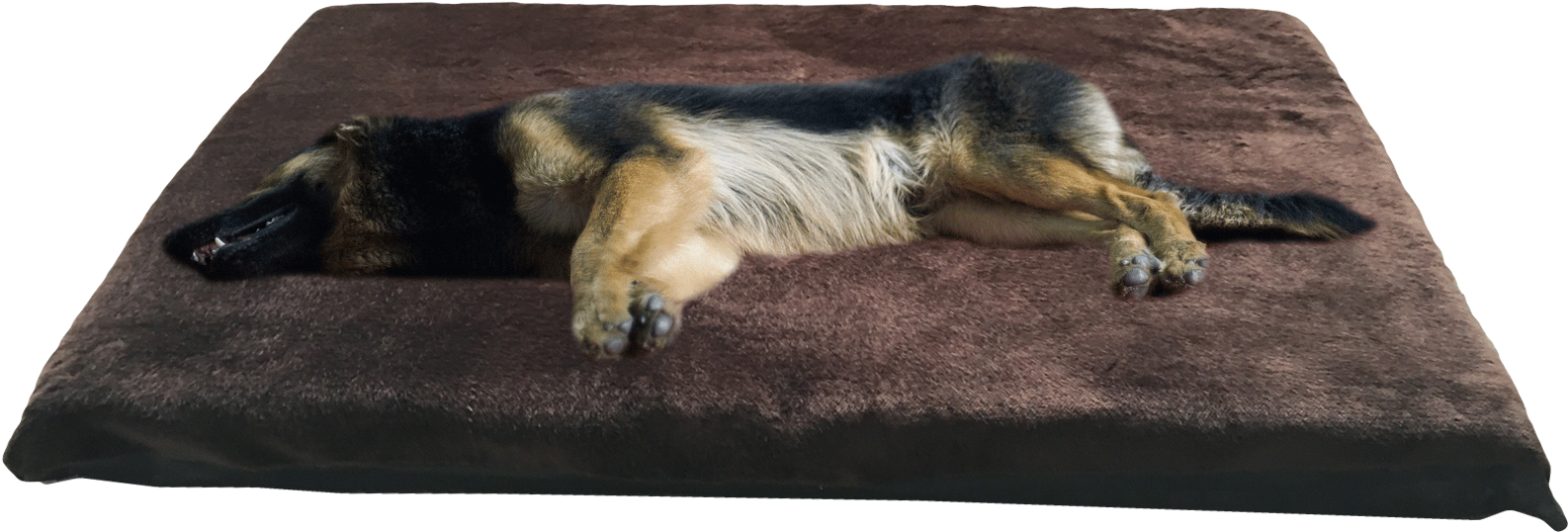 Home / Kosipet® Dog Beds - Dog (1761x842), Png Download