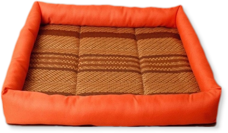 Dog (841x523), Png Download