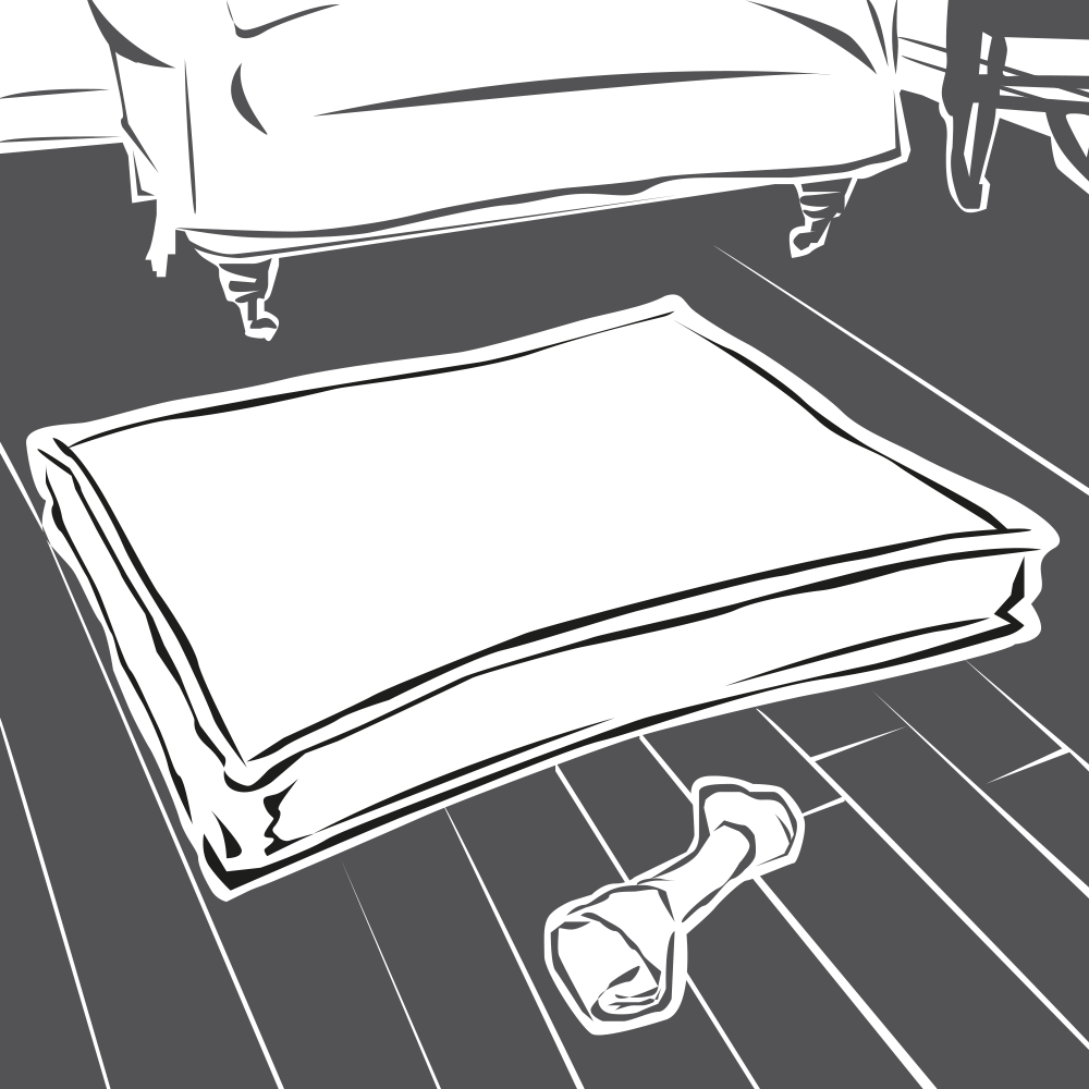 Dog Bed Colours - Dog Beds (1000x1000), Png Download