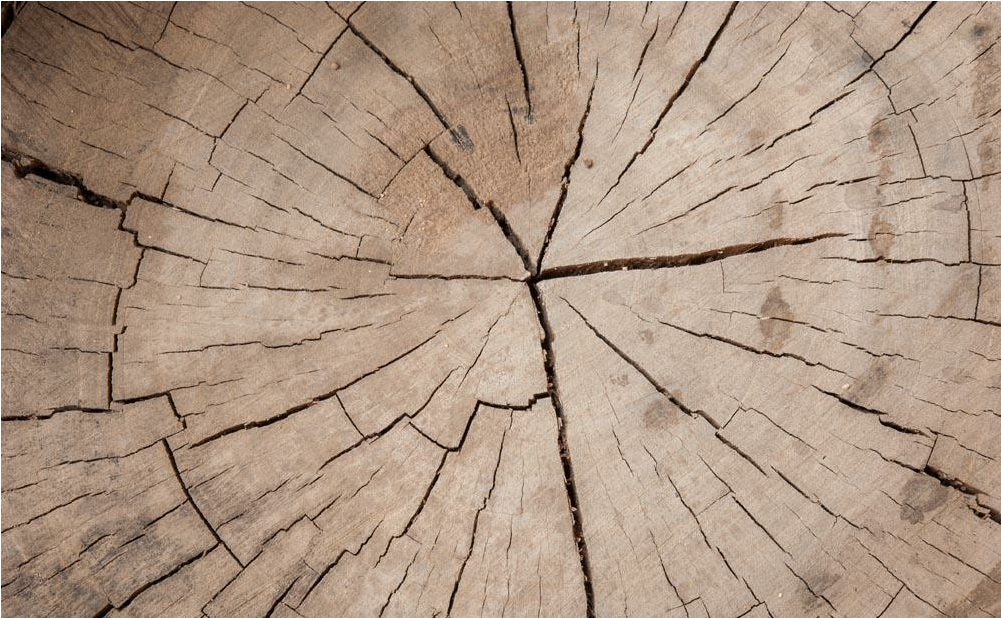 Broken Wood Png Banner Black And White Library (1128x842), Png Download