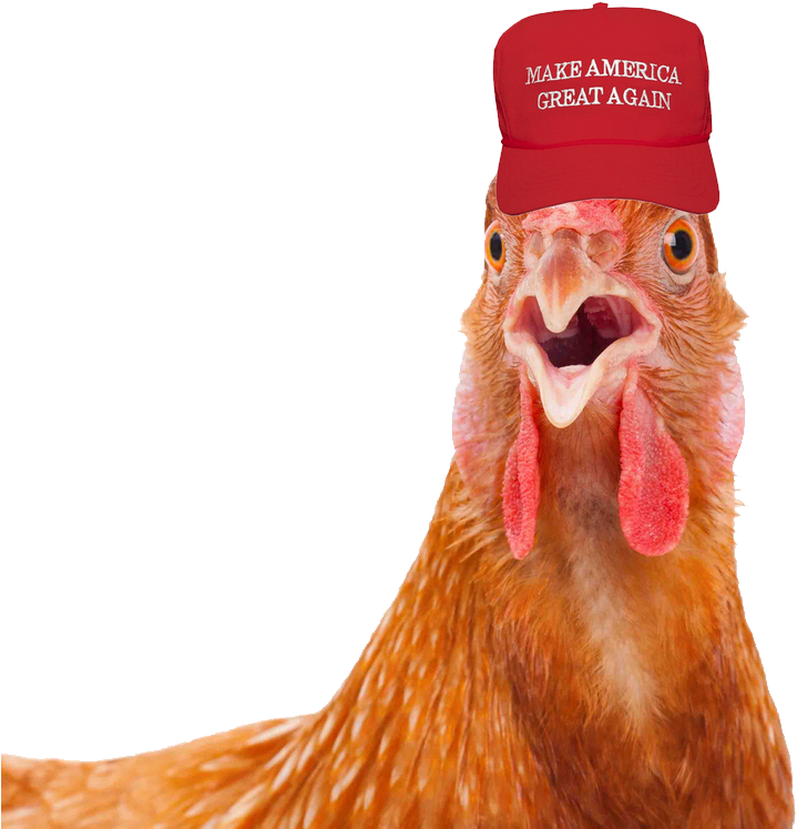 2mib, 840x768, Rooster With Maga Hat - Moreconsole Chicken (840x768), Png Download