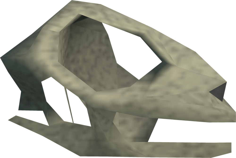 Cave Wolf Matriarch Skull Detail - Wiki (1000x667), Png Download