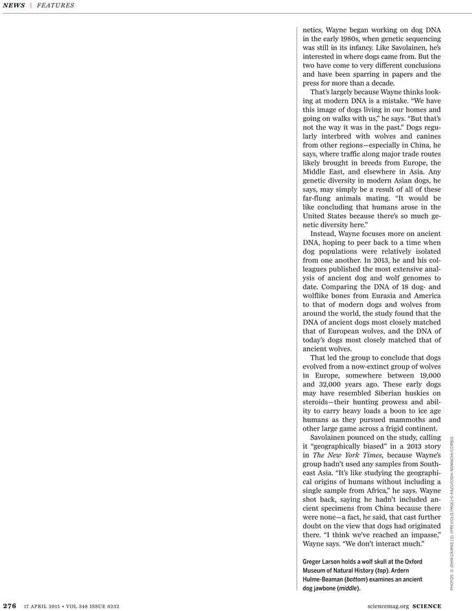 What - Declaratoir Aan De Vroedschap Van Amsterdam, 1794 (729x929), Png Download