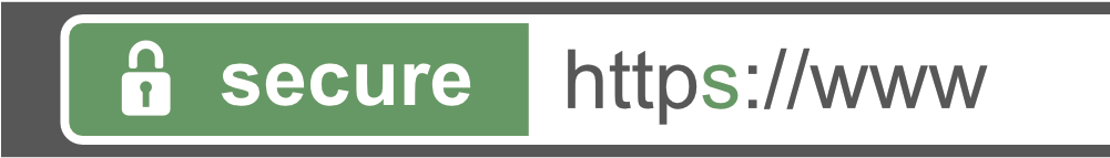 Browser Address Bar With Https Protocol Sign - Ssl Certificate Png (1000x311), Png Download