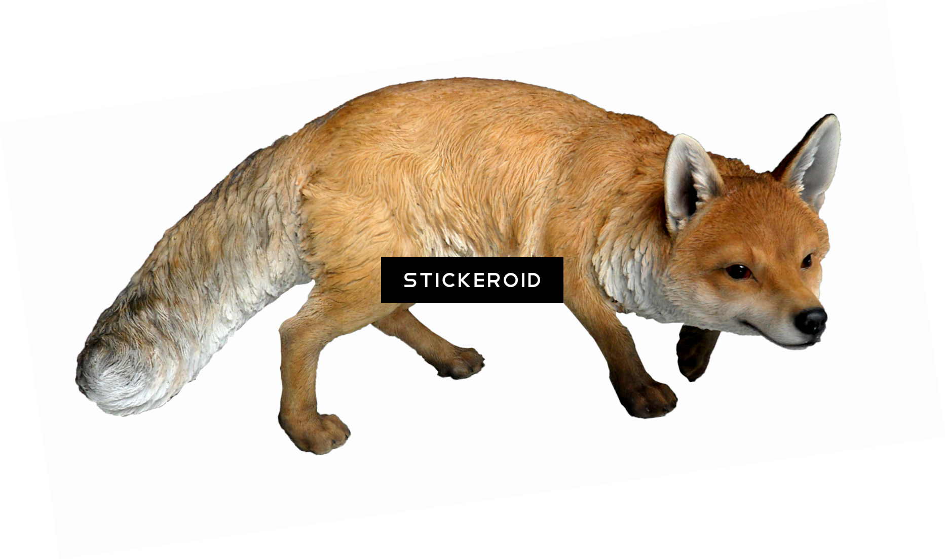 Fox - Real Woodland Animals (1865x1106), Png Download