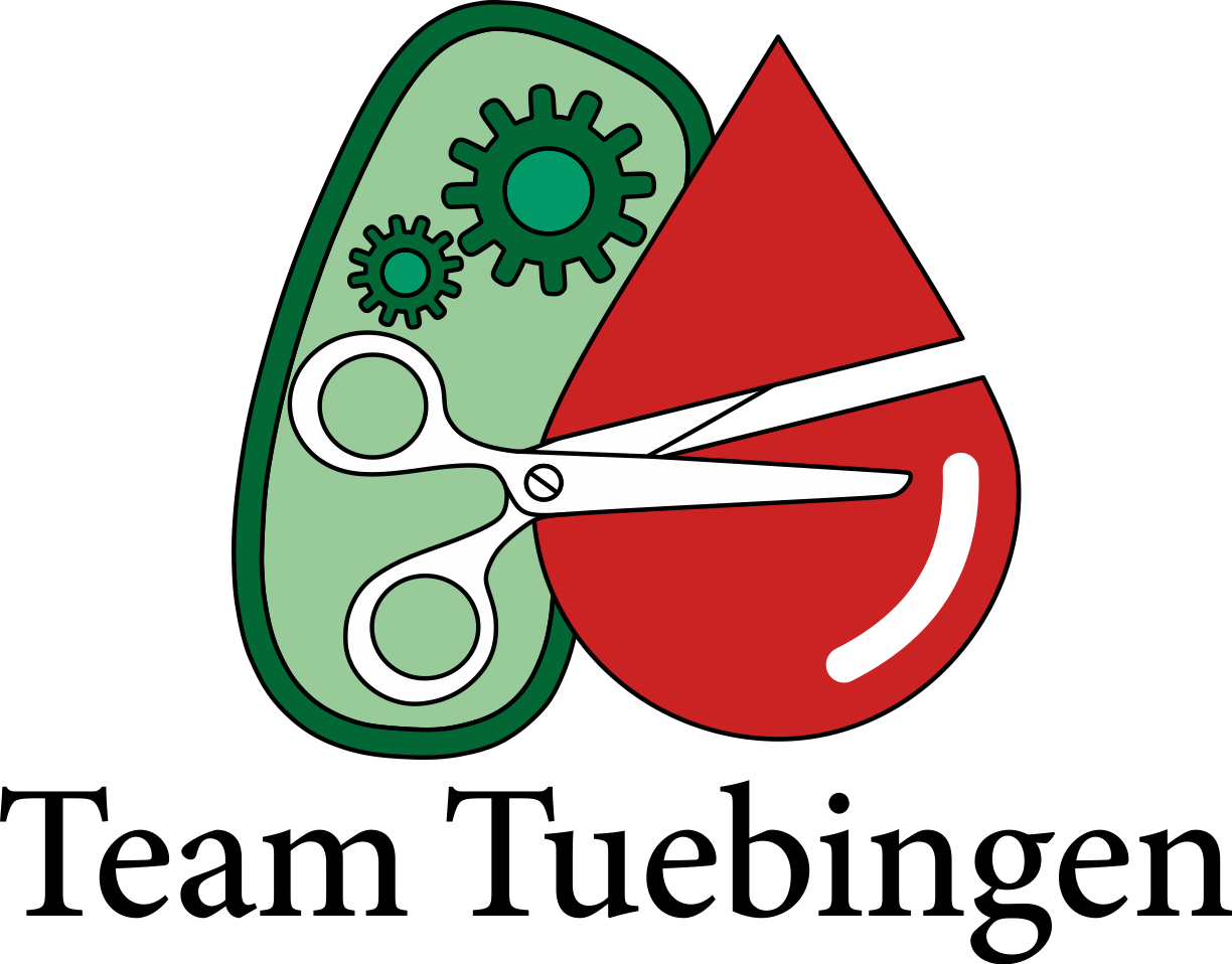Igem - Tuebingen@gmail - Com - Five Minute Lean: A Super-quick Guide It Again (1224x958), Png Download