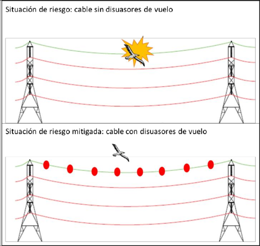 Download - Electrical Cable (850x804), Png Download