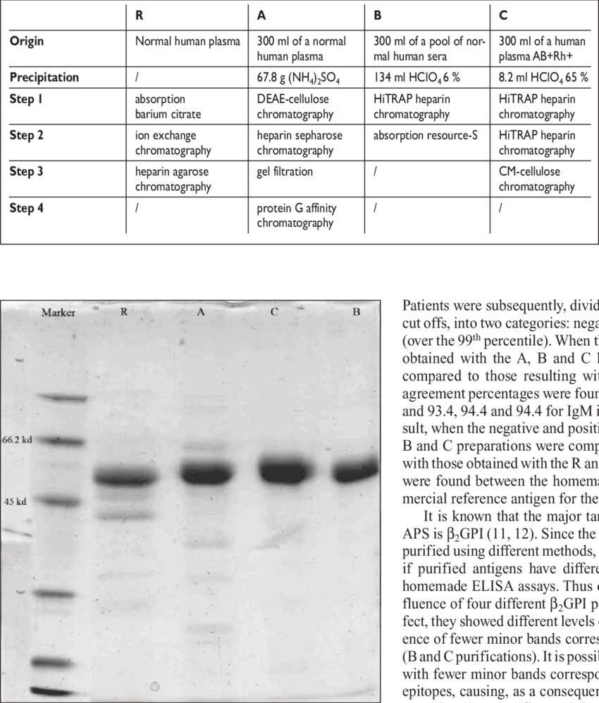 Sds/page Of Different Β2gpi Preparations - Document (850x998), Png Download