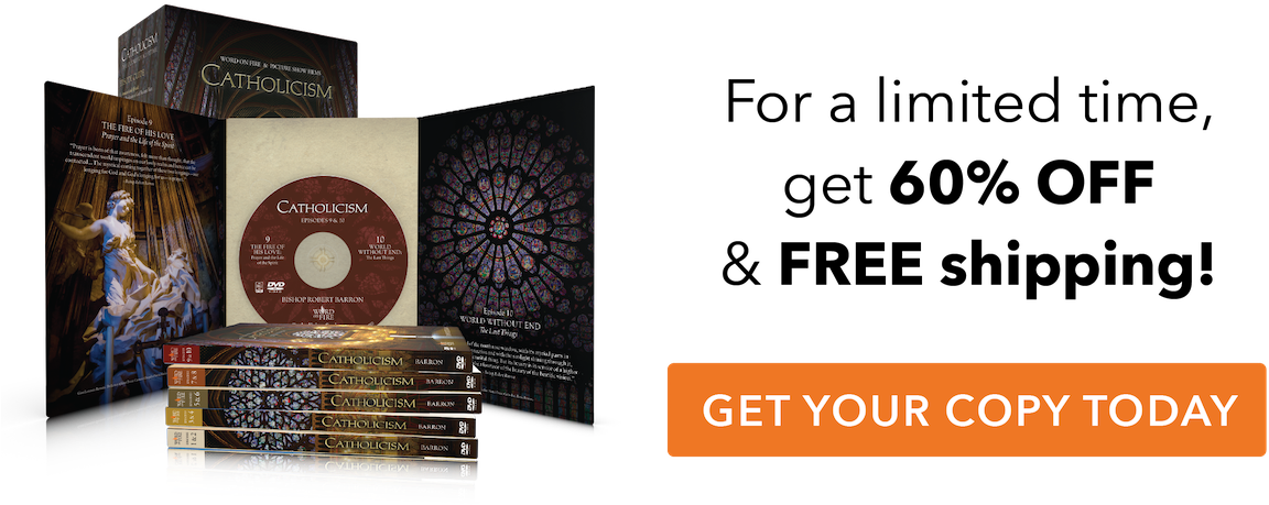 Watch All 10 Episodes On Word On Fire Digital Through - 3drose Yves Creations Abstract - Pink Spirograph - (1200x466), Png Download