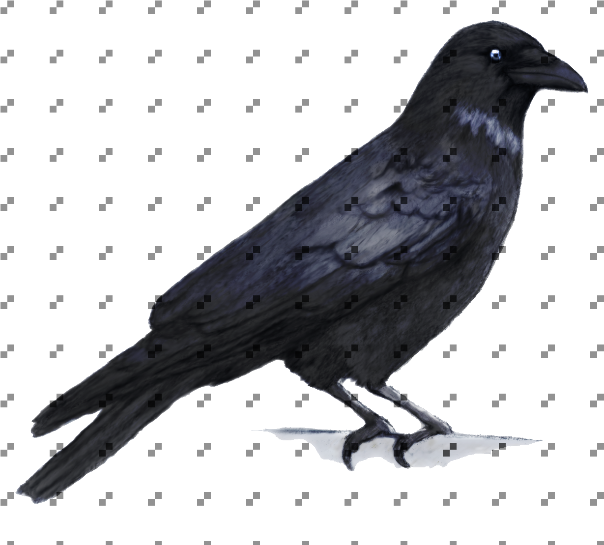 Crow - Crow Painting (1330x1144), Png Download