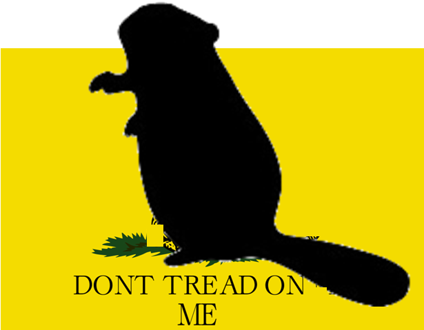 Texas - Dont Tread On Me Flag (644x520), Png Download