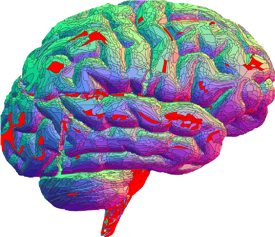 This Is What Asperger's Syndrome Is Like - Brain Transparent (905x781), Png Download