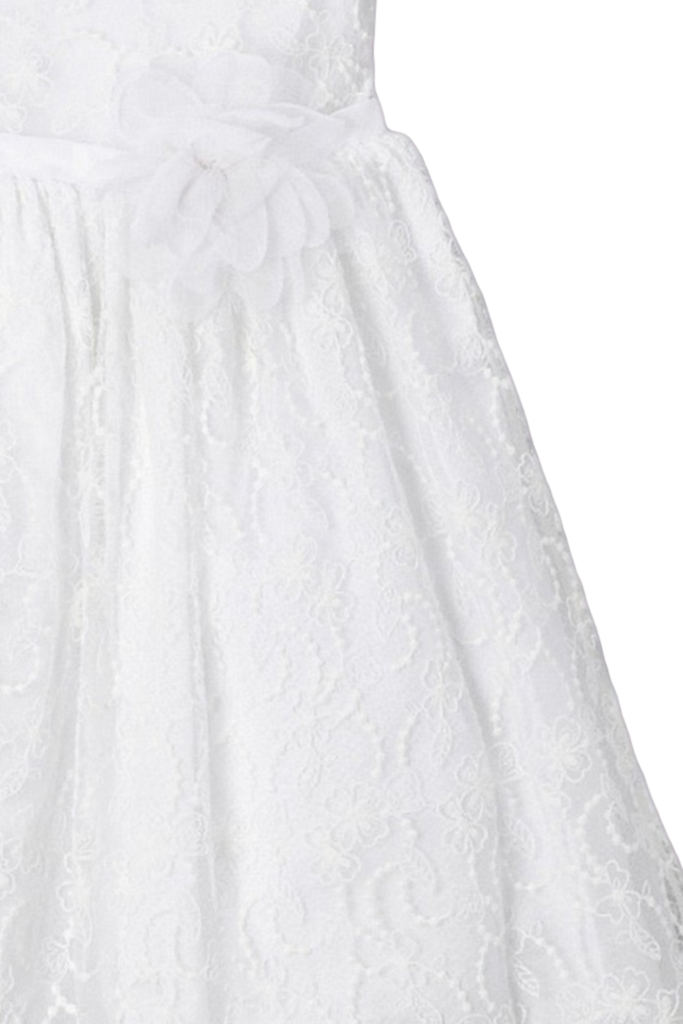 White Lace Overlay Png - Gown (683x1024), Png Download