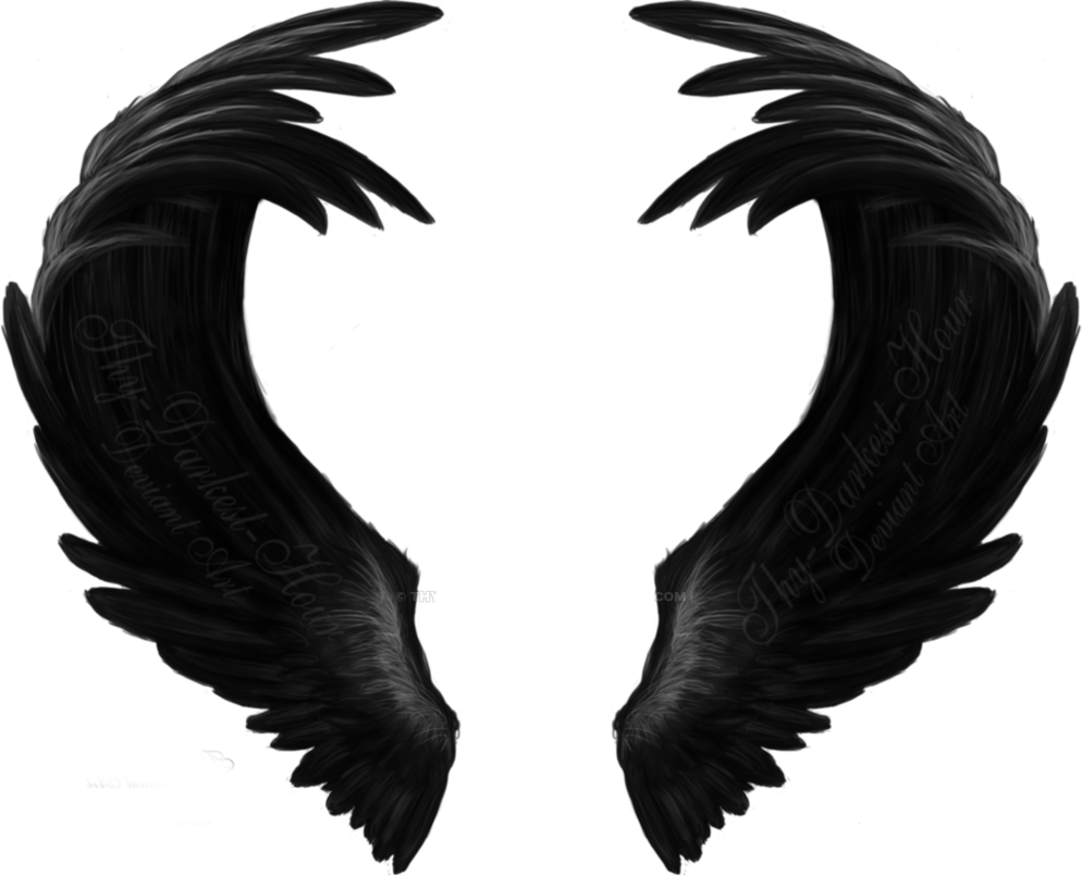 Black Wings (994x804), Png Download