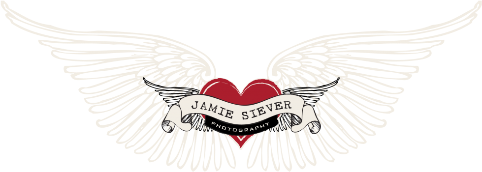 Logo Black Wings - Emblem (1024x502), Png Download