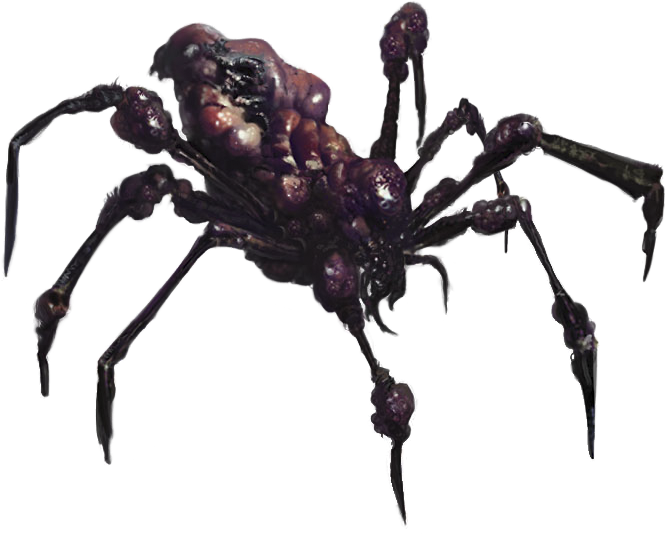 Giant Spider - Araneus Cavaticus (668x534), Png Download