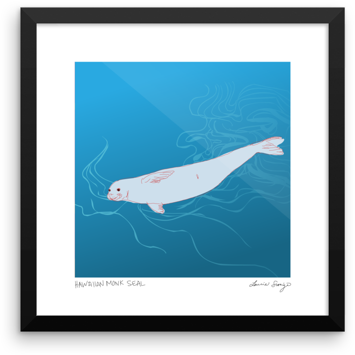 Hawaiian Monk Seal Print - Hawaiian Monk Seal (1000x1000), Png Download