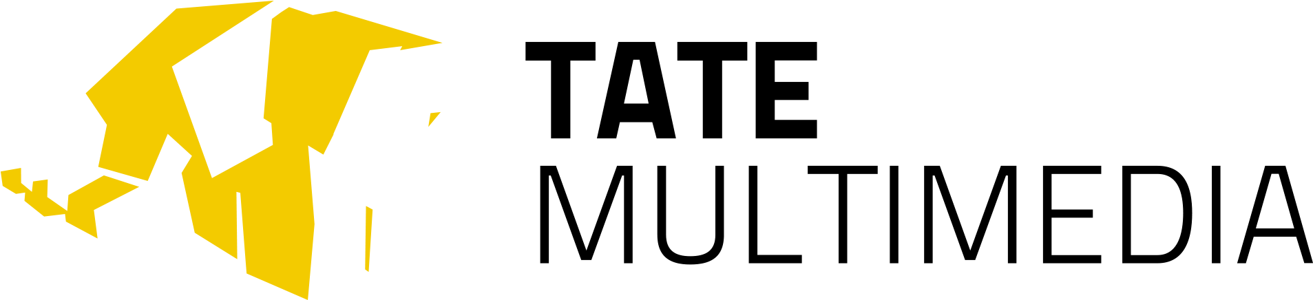 Logo - Tate Multimedia Logo Png (2000x1000), Png Download