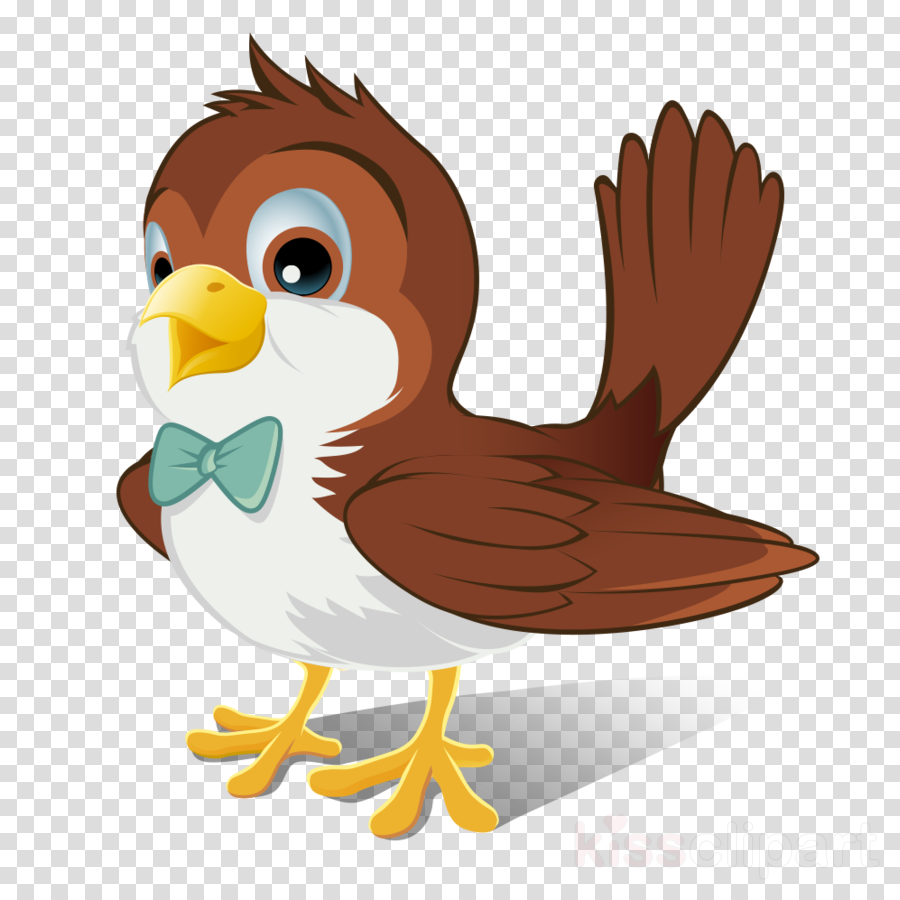 Sparrow Png Clipart Clip Art - Sparrow Cartoon (900x900), Png Download