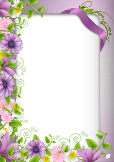 Free Png Photo Frame With Purple Flowers Png Images - 2 Photo Frame Png (480x680), Png Download