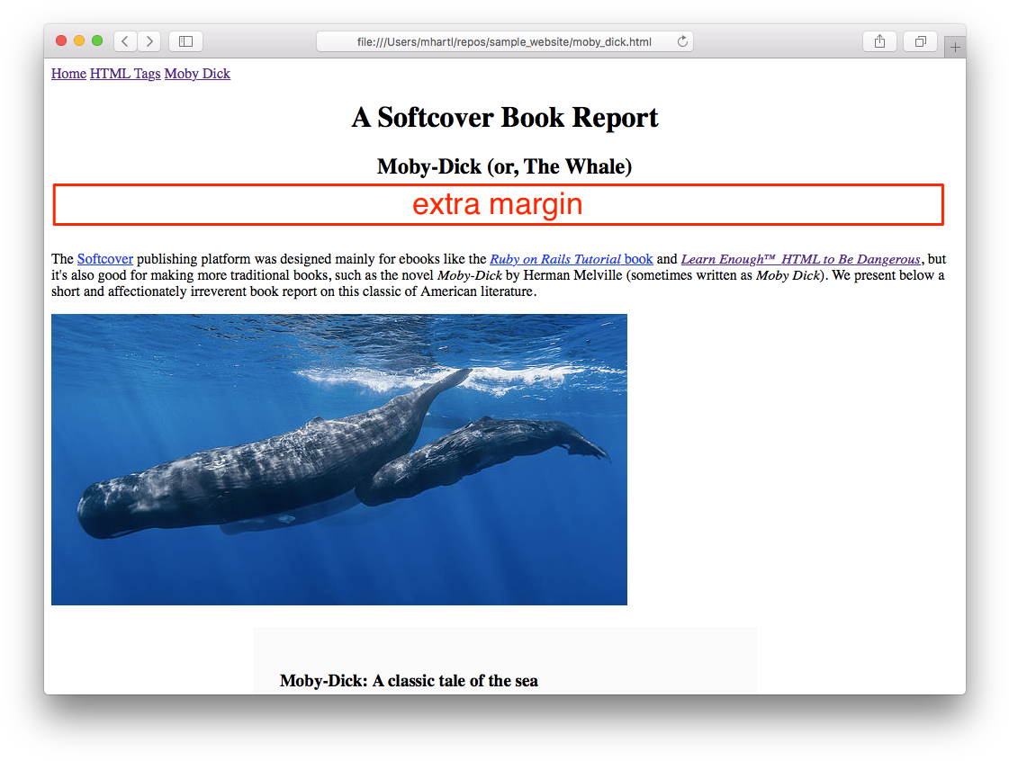 Images/figures/margin Header - Sperm Whale Family By Baratheui Gabriel Marine (1136x857), Png Download