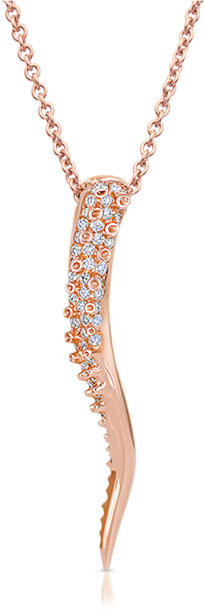 Tentacle Pendant With Diamonds - Unique Jewelry Moderne Edelstahlkette Mit Anhänger (1024x1024), Png Download