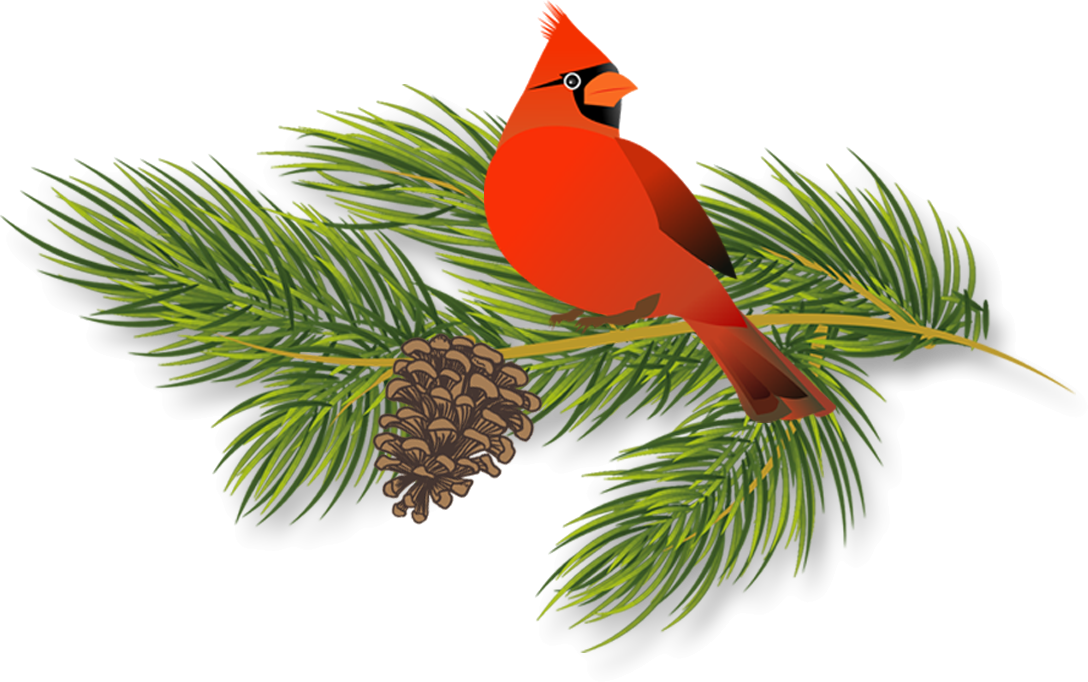 Holiday Pines Campground - Red Cardinal Greeting Cards (1088x682), Png Download