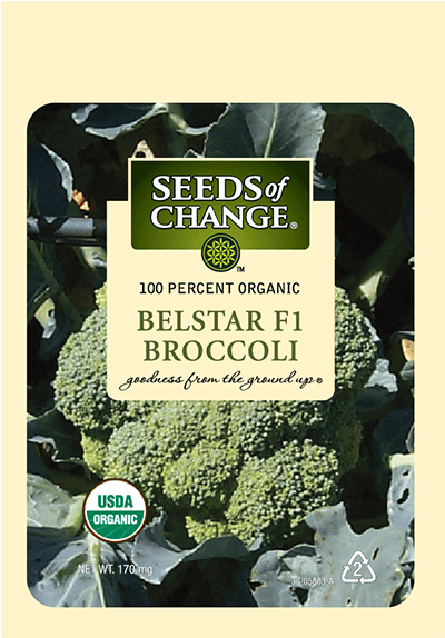 Organic Belstar F-1 Broccoli Seeds - Seeds Of Change (573x573), Png Download