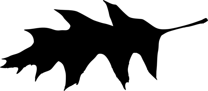 Free Png Leaf Silhouette Png Images Transparent - Leaf (850x372), Png Download