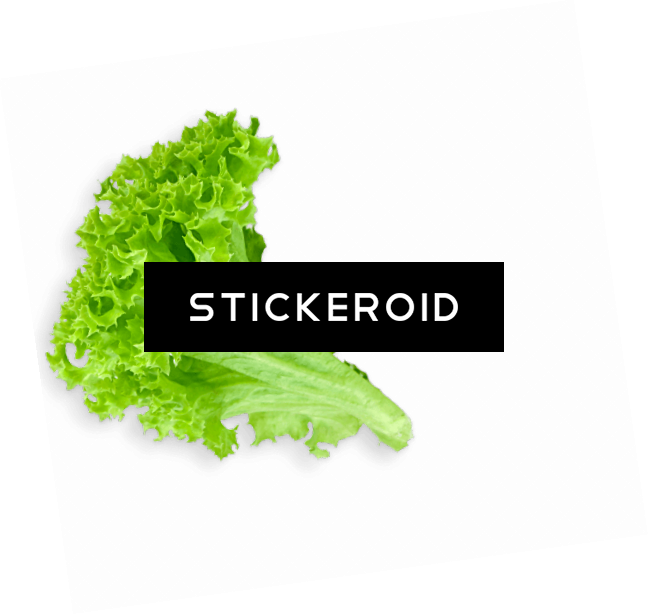 Lettuce Leaf - Green (648x615), Png Download