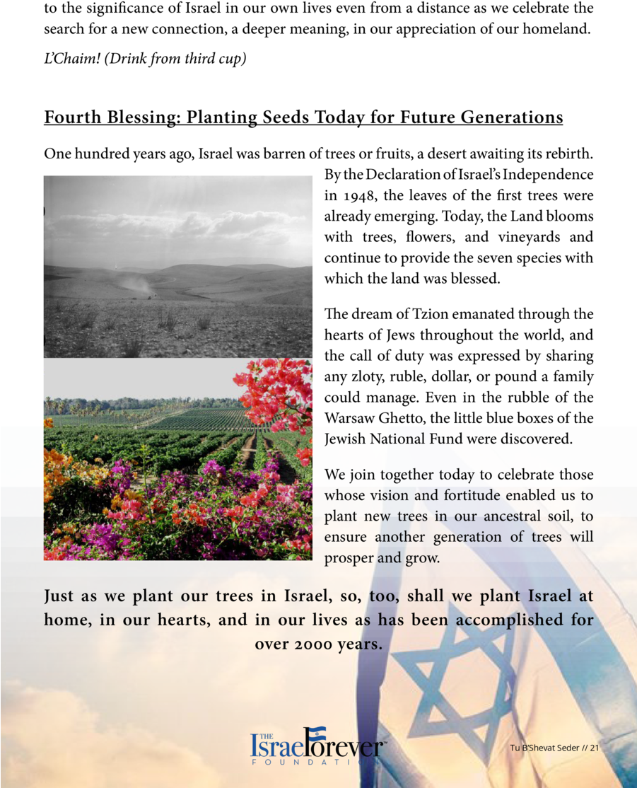 From The Tu B Shevat Seder In The Hills Of Tzfat Hundreds (900x1165), Png Download
