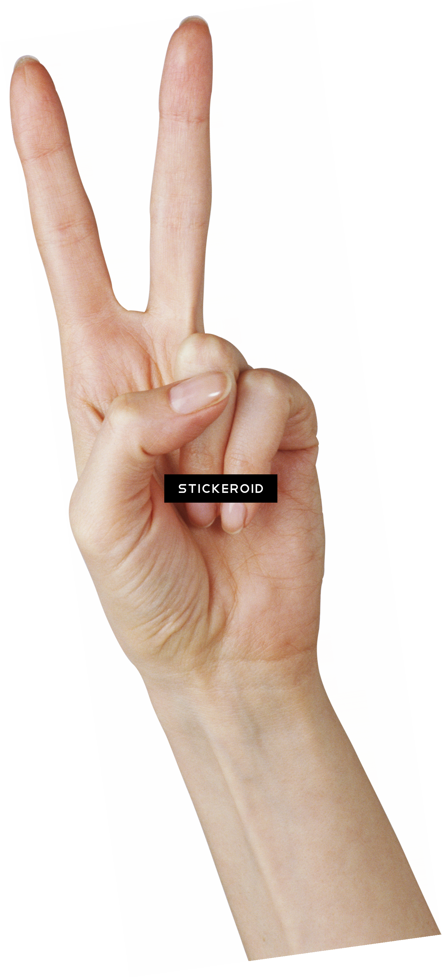 Hands Hand (1407x3110), Png Download