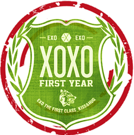 First Year, The Most Beautiful Year With Exo (700x700), Png Download