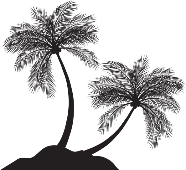 Palm Trees Silhouette Png - Palm Tree Silhouette Clip Art Png (600x545), Png Download