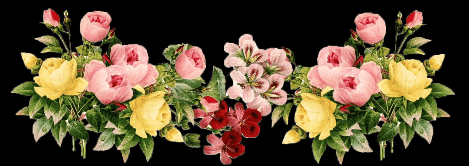 Free Assorted Flowers Pngs - Nina Dobrev (1548x550), Png Download