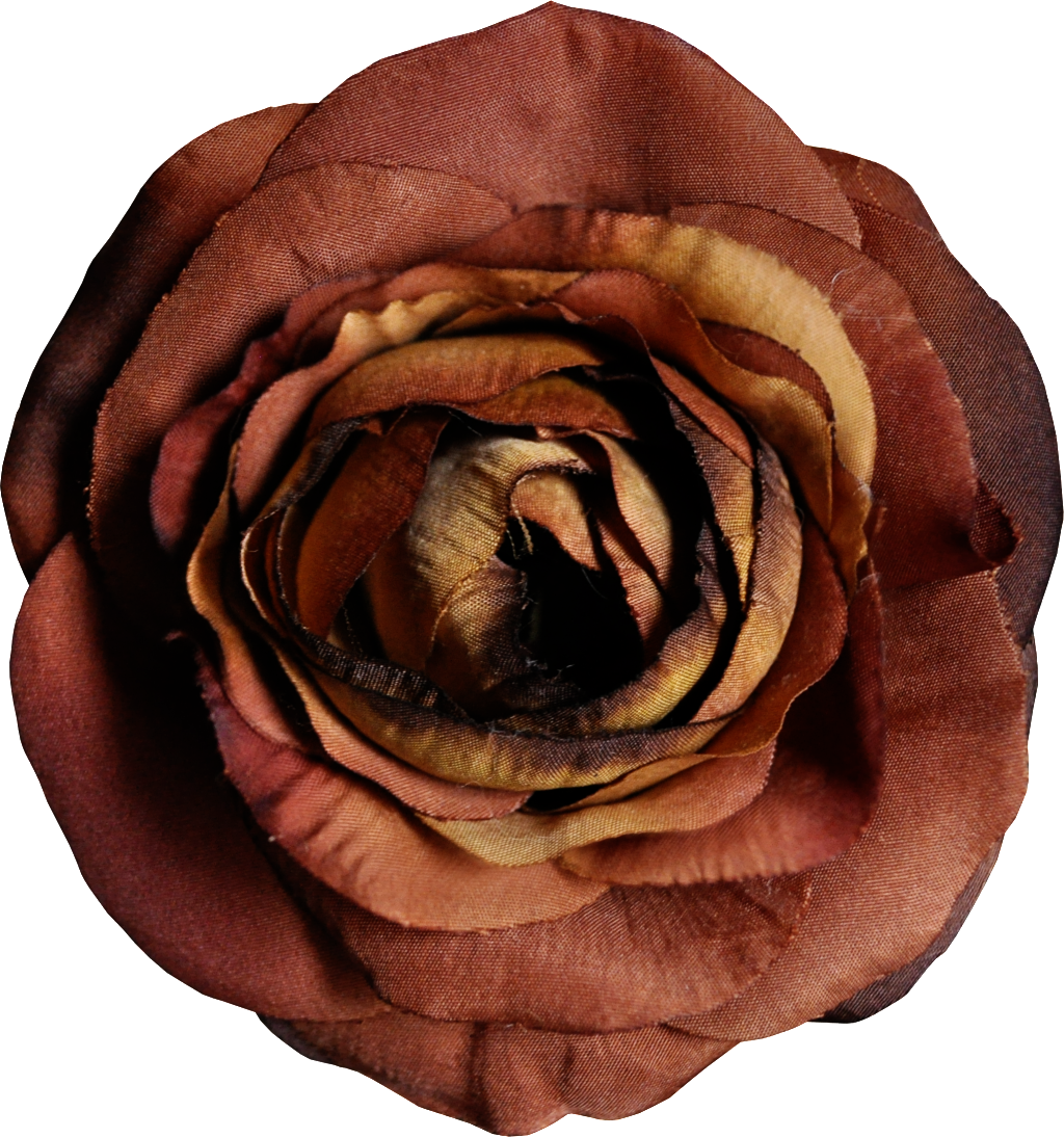 Hand Painted Popular Camel Flower Png Transparent (1024x1094), Png Download