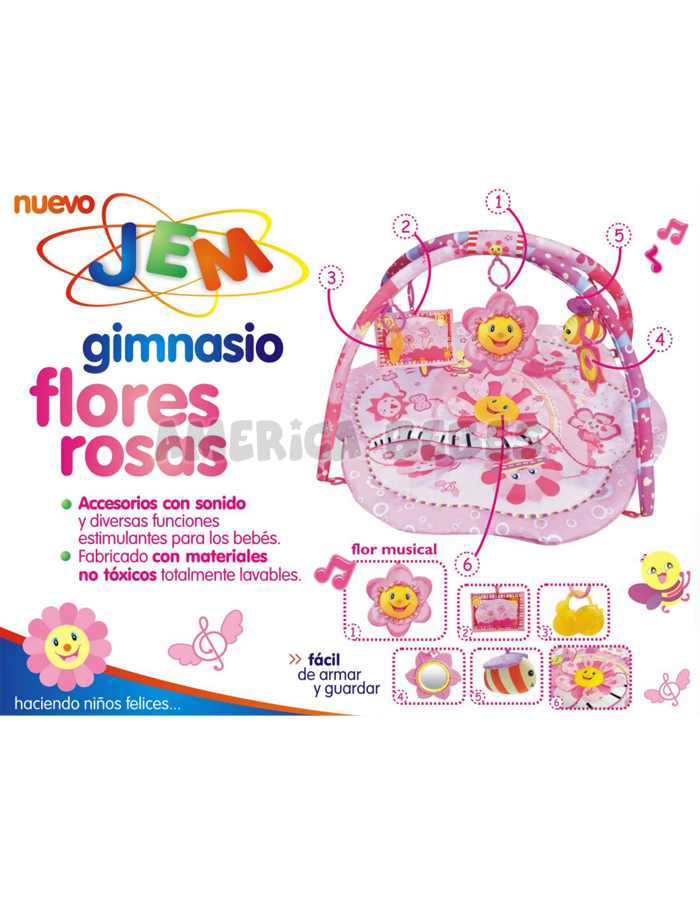 Gimnasio Flores Rosas - Baby Playmat, Play Gym, Musical Activity Gym Stunning (700x900), Png Download