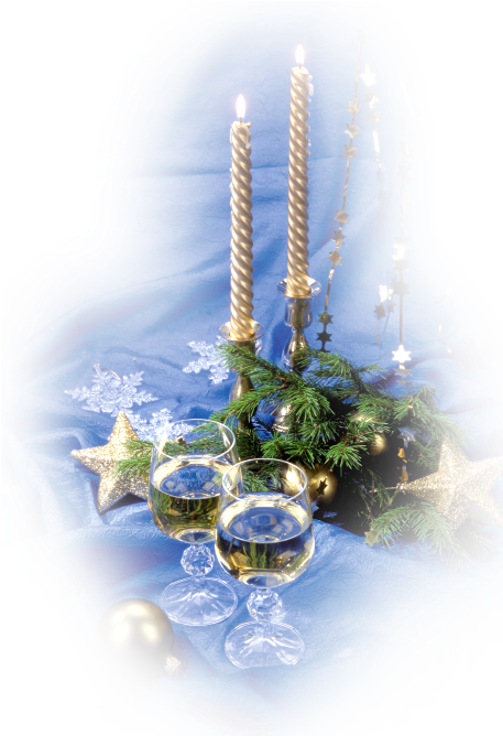 Christmas Ornament (456x679), Png Download