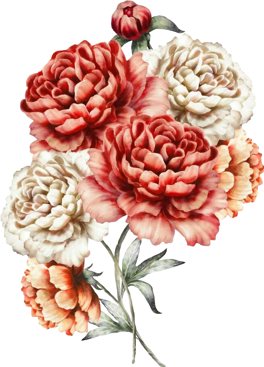 Report Abuse - Styleboom Fashion Damen Chiffon Top 2-lagig Blumen (521x725), Png Download