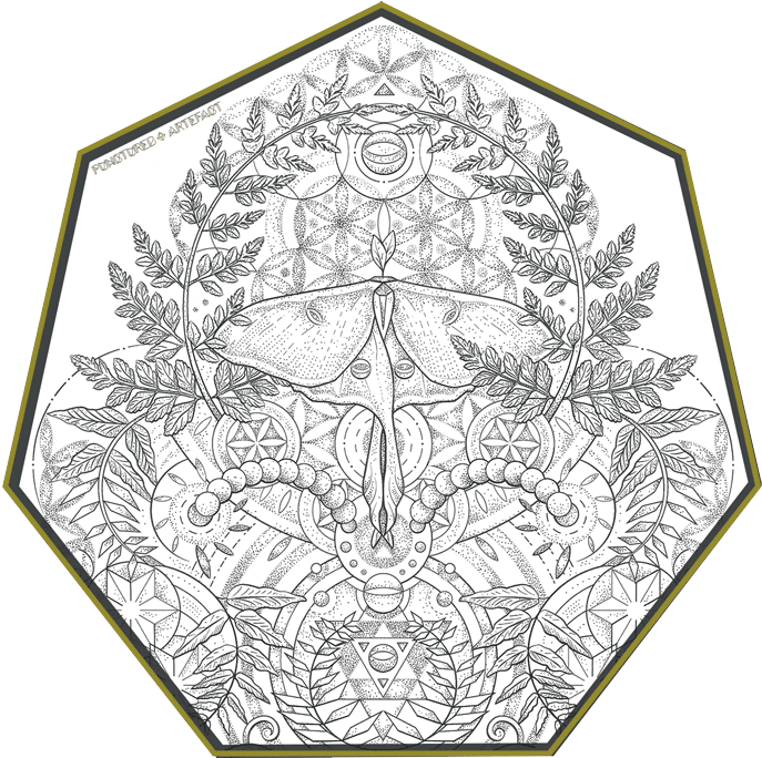 It Features A Lunar Moth, Ferns, Leaves & Geometric - Portable Network Graphics (700x683), Png Download