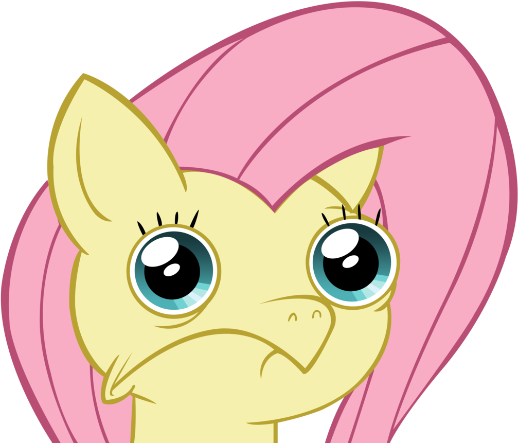 Post 29081 0 20570500 1409186776 Thumb - Stay Outta My Shed Okay (1024x951), Png Download