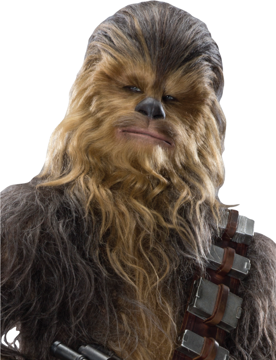 Chewbaccatfahs-fathead - Chewbacca Star Wars Vii Cardboard Cutout Standup (960x1280), Png Download