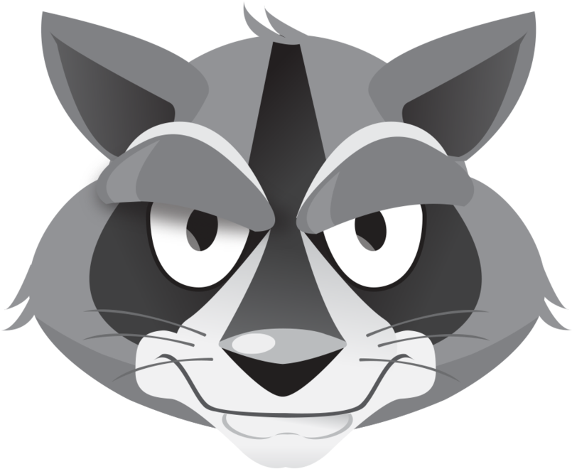 Andrewmonro Raccoon Neutral Front Head (1000x944), Png Download